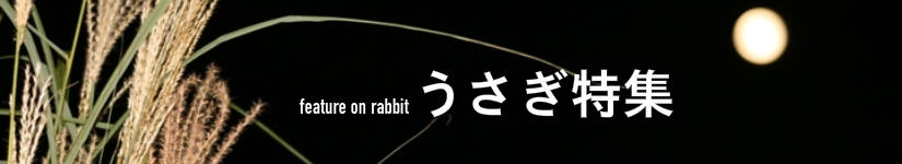 うさぎ特集